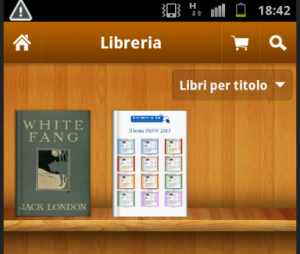 L'ebook della guida in libreria